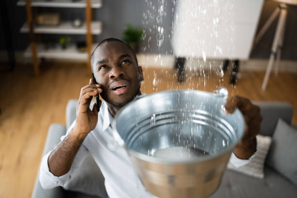 Best Sewage cleanup and water damage restoration  in Augusta, ME