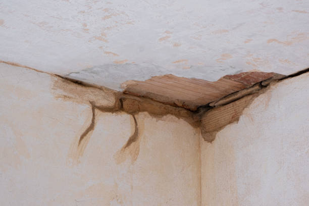 Best Water damage restoration near me  in Augusta, ME