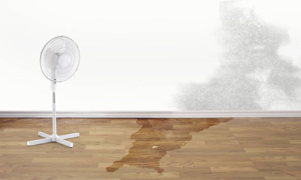 Best Commercial water damage restoration  in Augusta, ME