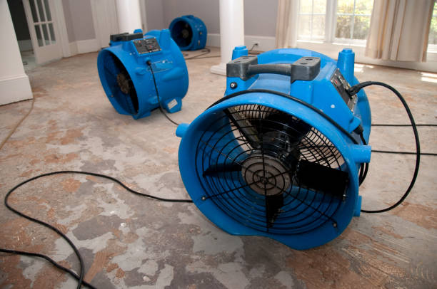 Best Professional water damage repair  in Augusta, ME