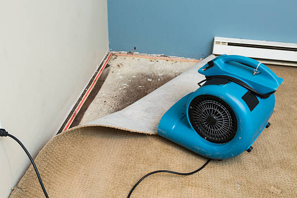 Best Water damage cleanup near me  in Augusta, ME
